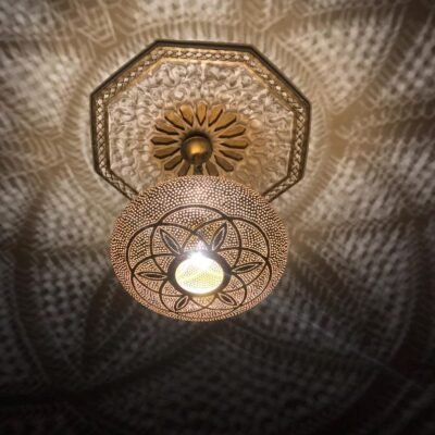 Floral Shadow Light for Bedroom, Hallway or Entryway ​